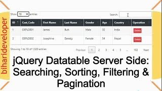 jQuery DataTable Server Side Searching Sorting Filtering and Pagination biharideveloper [upl. by Horn]