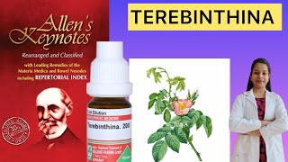 Terebinthenia homeopathic medicine Allen’s keynote materia medica in Hindi [upl. by Kyred]