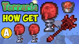 Terraria how to get Sanguine Staff 2024  Terraria how to get Chum Bucket amp Blood Moon Monolith [upl. by Rosenbaum]