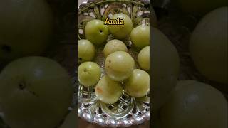 Amla Indian Gooseberry healthyfood drsivaraman amlabenefits musttry amlajuice morningdrink [upl. by Alethia]