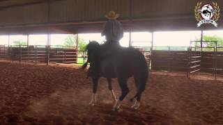 Reining Horse Training  Sliding Stop and Honest Run Downs with Scott McCutcheon [upl. by Suillenroc]