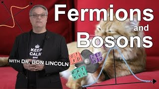 Fermions and Bosons [upl. by Maddocks]