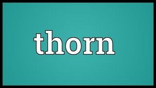 Thorn Meaning [upl. by Odama]