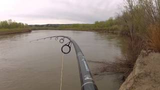 Prehistoric Paddlefish Fight from Cast to Finish [upl. by Ellehcil692]