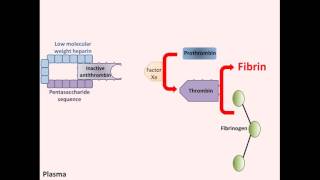 Heparin  Mechanism of Action [upl. by Neo]