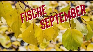 FISCHE SEPTEMBER 2024 TAROT 🍁 EIN SCHMERZHAFTER PROZESS fische tarot orakel september [upl. by Bailey]