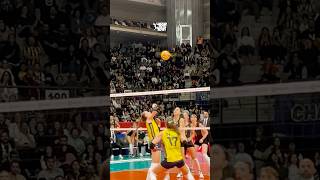 😱 Fenerbahçe’den ilginç sayı volleyball sultanlarligi fenerbahçe edaerdem rally [upl. by Alma]