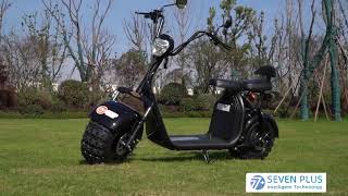 Electric scooter with 3000w 2000w powerful two fat wheel citycoco [upl. by Gide570]