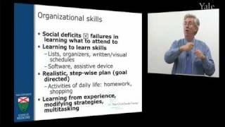 Treatments for Autism Overview of Model Programs Fred Volkmar [upl. by Brockie348]