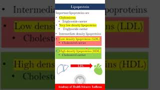 Lipoproteins HDL vs LDL  Biochemistry  by Imran Yaseen [upl. by Raseac]