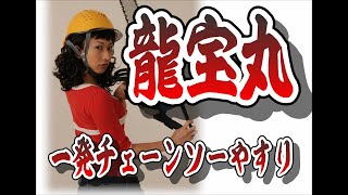 龍宝丸 一発チェーンソーやすり chain saw blade チェーンソー目立て patented [upl. by Binnie]