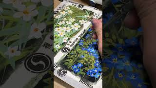 Painting forget me not flowers by poster Nicker  art posternicker paintingflower [upl. by Robillard]