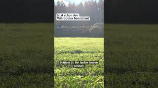 Kannst du jetzt schon den Mähroboter benutzten🌱 foryou mähen lawn rasenmäher rasenroboter [upl. by Wendin]