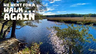 The Best Things to do in Charleston Hike the Awendaw Passage Palmetto Trail [upl. by Ikcaj]