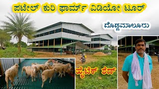 Patel sheep farm video tour  Doddamaluru Hightech shed [upl. by Akimyt]