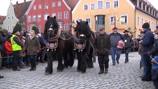 Marktplatz Neumarkt 05022020 [upl. by Akiemehs]