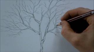 How to Draw a Tree Step by Step for Beginners In 8 Minutes [upl. by Cirala939]