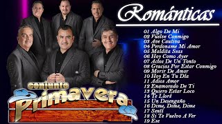 CONJUNTO PRIMAVERA ÉXITOS ROMÁNTICOS SUS MEJORES CANCIONES  CONJUNTO PRIMAVERA MIX COMPLETOS [upl. by Hareehahs]