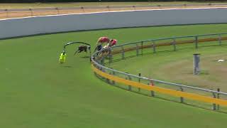 Bundaberg16092024Race4 [upl. by Darrick]