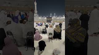 Liveharam786💚Makkah Live💚22112024🤲🕋Har sal talab who sher dikha😭shortsshortfeed ytshortslove🥰 [upl. by Ramso12]