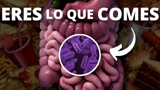 Las bacterias de tu intestino afectan a tu cerebro [upl. by Akelahs]