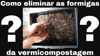 Como eliminar formigas do minhocário 🐜🐜🐜🐜🐜🐜🐜 [upl. by Blanchette336]