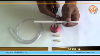 Make a stethoscope amp check your heartbeat  School Science Projects  Butterfly Fields [upl. by Duwe]