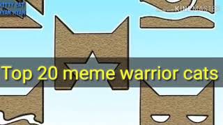 Top 20 meme warrior cats  Топ 20 меме котывоители 1 [upl. by Bixler]