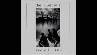 The Bluebells  Young At Heart [upl. by Talyah]