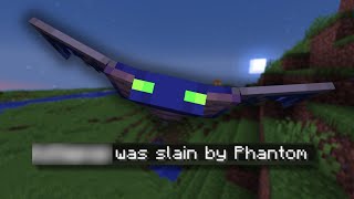 A Phantom Ruined This Minecraft SMP [upl. by Dorice644]