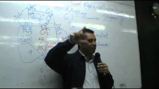 DrAhmed Abd ElRahman  GIT 2  Peptic Ulcer part 2 [upl. by Lora]