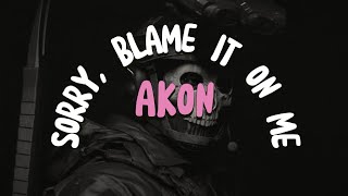 AKON  SORRY BLAME IT ON ME LYRICS [upl. by Casady]