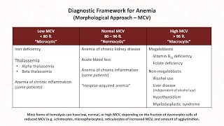 Anemia Lesson 1  Diagnostic Frameworks [upl. by Aldous]