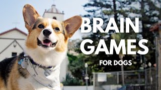 Simple Mental Stimulation Exercises For Dogs [upl. by Eiral]