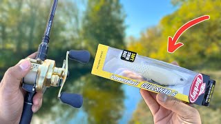 Fall Swimbait Fishing With Berkley CULL SHAD 6  THANK YOU 1000 SUBSCRIBERS [upl. by Terle]