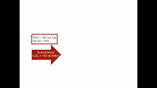 OxyHb dissociation curve to calculate blood oxygen content [upl. by Pallas119]