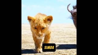 Did You Know THE DROUGHT Was SIMBAS FAULTshorts thelionking [upl. by Ahsinak]