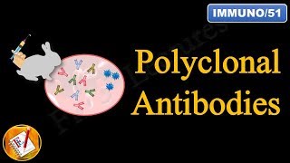 Monoclonal antibody production  Hybridoma technology explained [upl. by Nosredna]