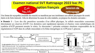 Examen national SVT rattrapage 2022 2bac pc option français شرح بالداريجة [upl. by Burnham]