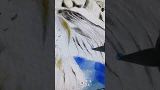 Snowy Owl  Process fresco digitalart watercolor [upl. by Taam]