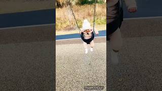 Cute baby in a swingviralvideo cutebaby shorts [upl. by Kathleen]