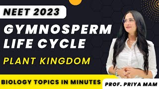 Gymnosperm Life Cycle  Plant Kingdom Class 11  NEET 2023  Priya Pandey Mam  neetbiology [upl. by Tiedeman]