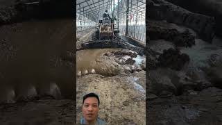 How to make biogas from the farm agriculture farming automobile animals technology knowledge [upl. by Lah463]