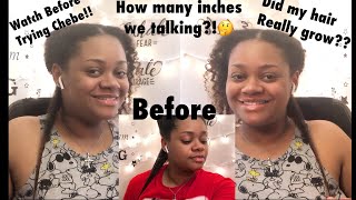 What Chebe Did To My Hair In 3 Months  Chebe 3 Month Update Length Check [upl. by Urbano]