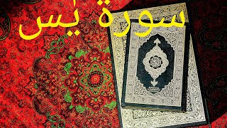 Surah Yasin completeDaily Online Quran [upl. by Nathalie]