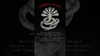 Ananta Shesha 🐍  The Snake Bed of Lord Vishnu 🐚 shorts shesha naag serpent energy spiritual [upl. by Tloc]