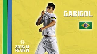 GABRIEL GABIGOL BARBOSA  Goals Skills Assists  Santos  20132014 HD [upl. by Auof]