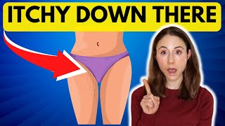 Itchy Down There HOW TO STOP GENITAL ITCH Dermatologist DrDrayzday [upl. by Anoiuq265]