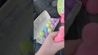 Peeps Hunting and Opening Easter Eggs Episode 17 shorts [upl. by Cristi]