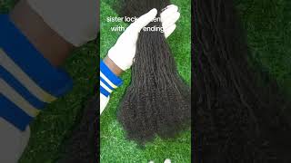 sisterlocks sisterlocksjourney humanhair beautifullocs hairstyle [upl. by Laemaj]